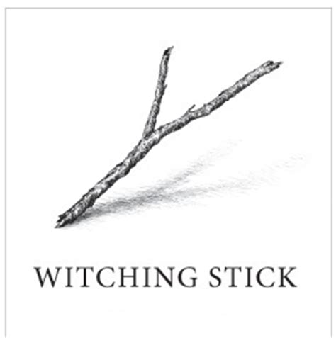 Witching stick automobile shine